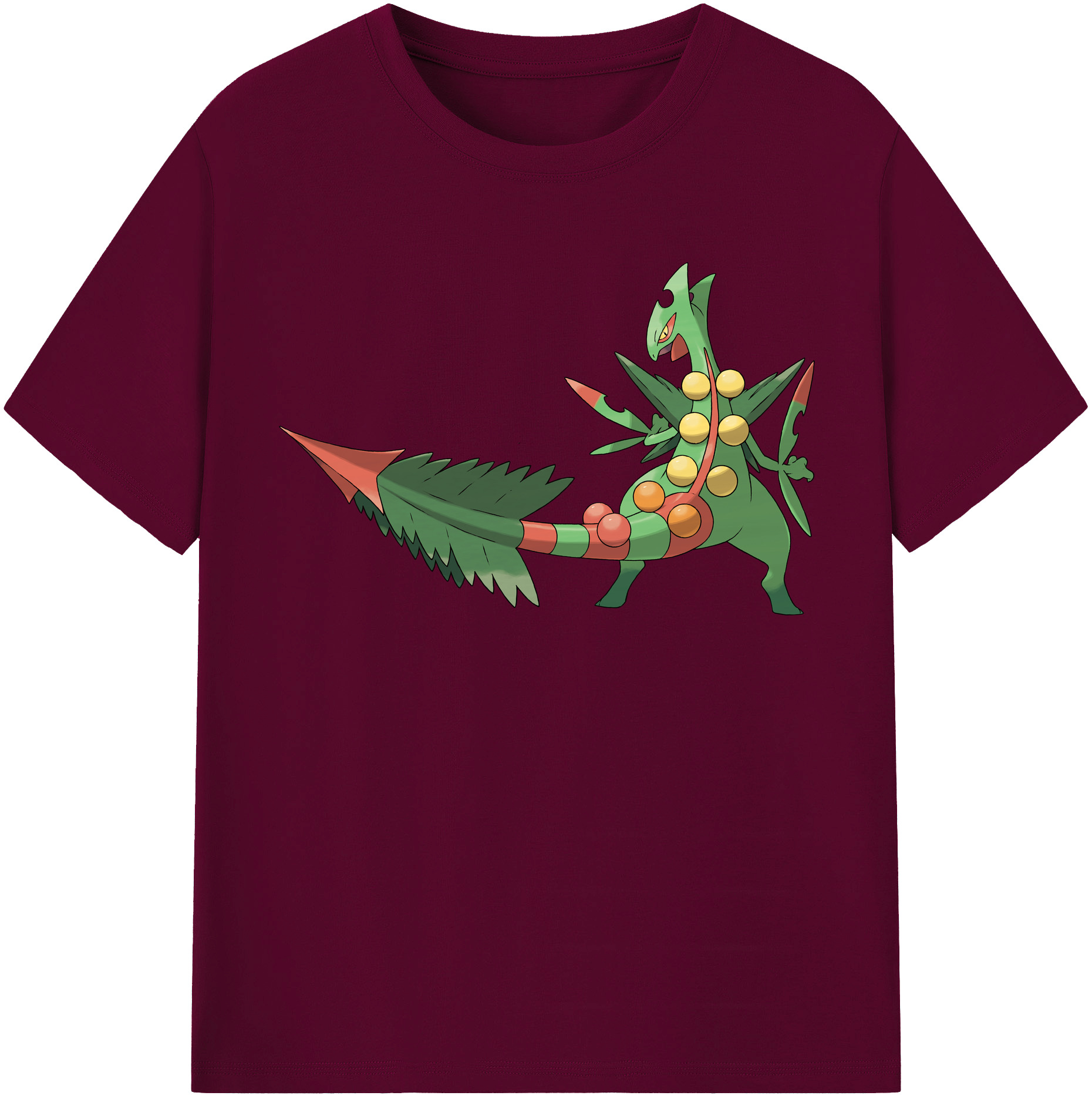 （画像用） ポケットモンスター Pokémon レディースカジュアルプリントTシャツ（綿100％）